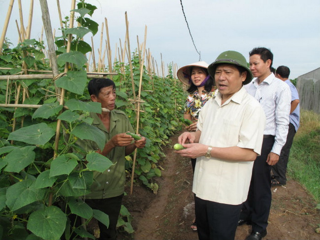 Chủ tịch Lại Xuân Môn (phải) trao đổi với nông dân trồng rau an toàn VietGap xã Việt Cường, huyện Yên Mỹ.